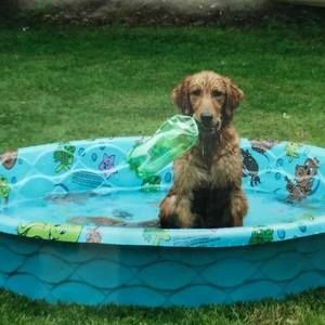 Meet your Posher, Lynda